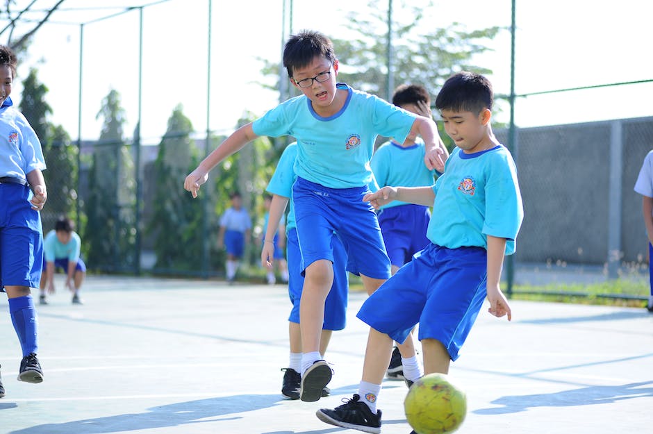 pe 트리