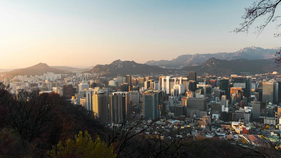 서울 과학고 입시 결과