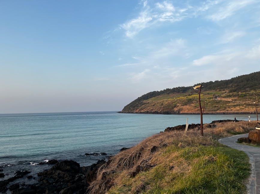 제주도 서부 여행 코스