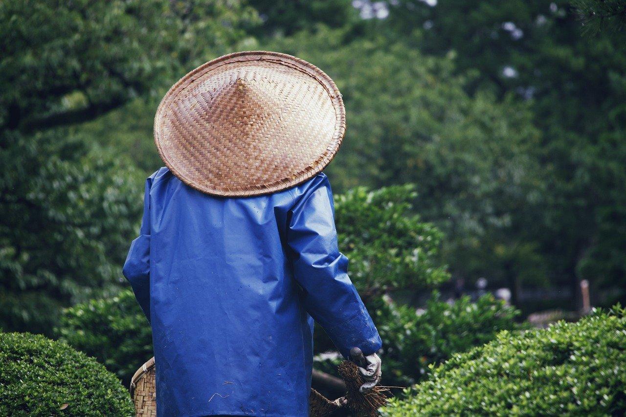 대패삼겹살 두루치기 만들기