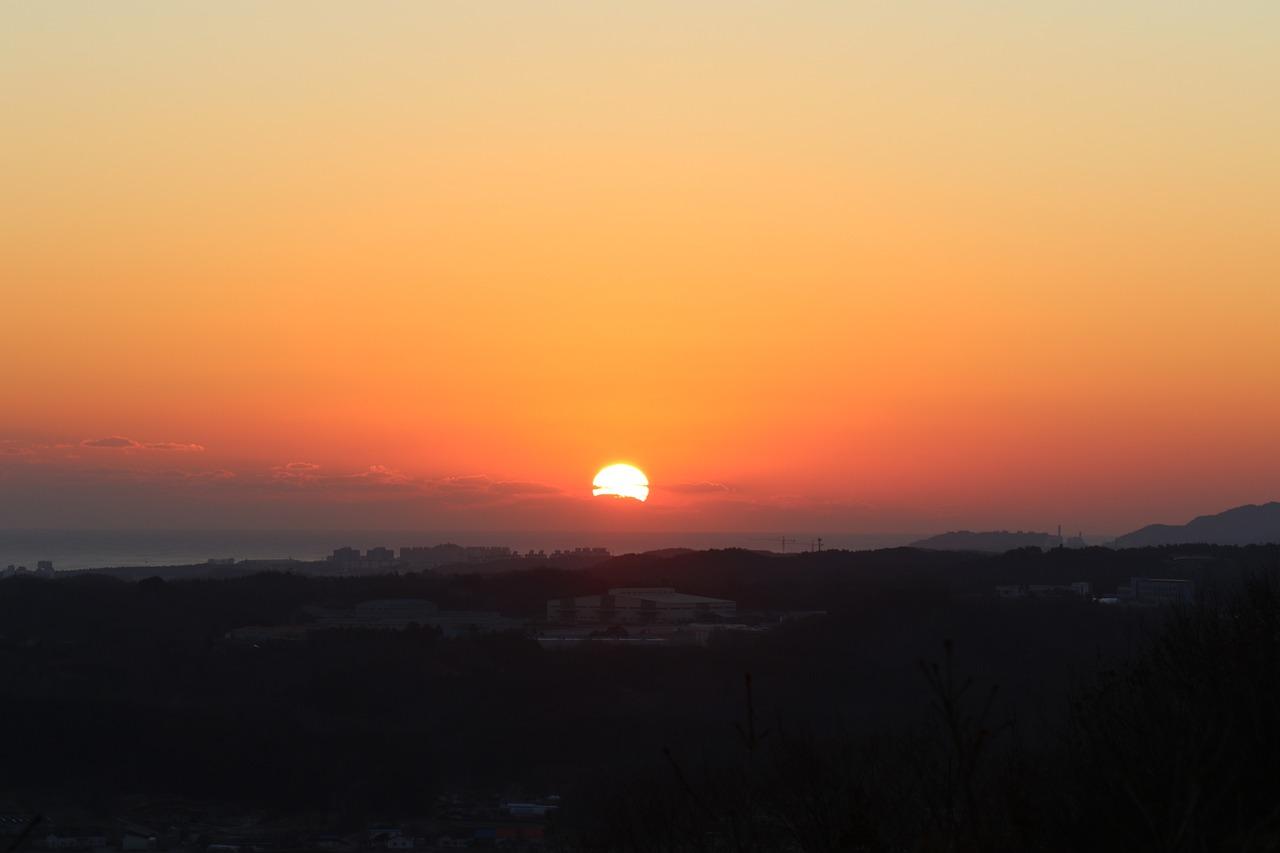 신년회 식순